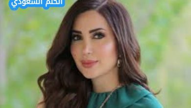 نسرين طافش ويكيبيديا السيرة الذاتية
