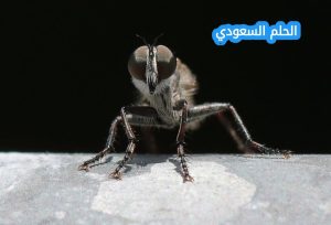 إجابة عندما يريد الذباب ان يبعد ما التصق بجسمه فانه