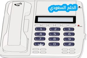الاستعلام عن فاتورة التليفون الأرضي بالرقم