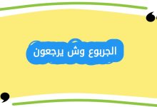 الجربوع وش يرجعون