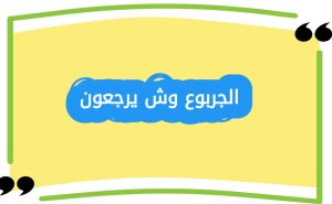 الجربوع وش يرجعون
