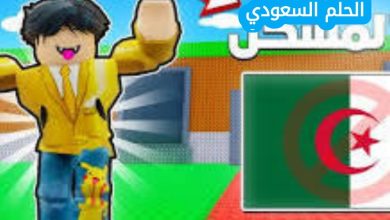 هل تم حظر روبلوكس في الجزائر