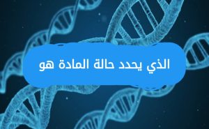 الذي يحدد حالة المادة هو