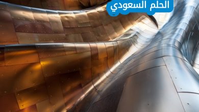 العناصر اللامعة القابلة للسحب والطرق الجيدة لتوصيل الحرارة والكهرباء
