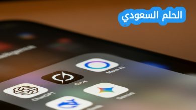 الكلام اللي بيتكتب في برنامج gemini لدمج الصور