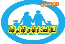 أهمية الجينات في حياة الإنسان والكائنات الحية