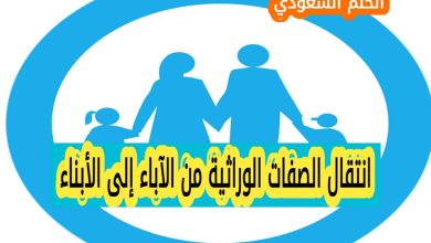 أهمية الجينات في حياة الإنسان والكائنات الحية