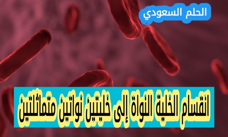انقسام الخلية النواة إلى خليتين نواتين متماثلتين