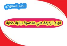 انواع الزخرفة هندسية نباتية خطية