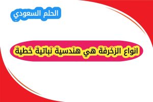 انواع الزخرفة هندسية نباتية خطية