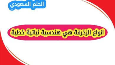 انواع الزخرفة هندسية نباتية خطية