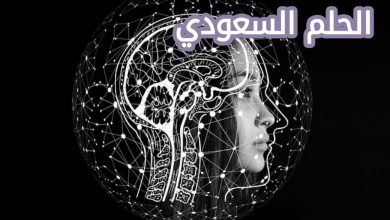 اول برنامج ذكاء اصطناعي تم تطويره في منتصف الخمسينيات