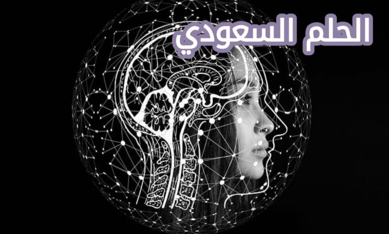 اول برنامج ذكاء اصطناعي تم تطويره في منتصف الخمسينيات