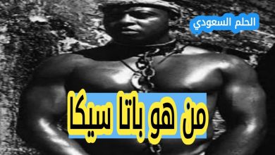 باتا سيكا ويكيبيديا
