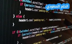برنامج الولاء الخاص بنا يقدم لعملائنا المميزين مكافآت ومزايا حصرية ما هو اسمه؟