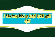 تتكون القشرة الارضية من قطعة واحدة صلبة لا تتحرك