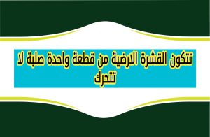 تتكون القشرة الارضية من قطعة واحدة صلبة لا تتحرك