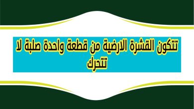 تتكون القشرة الارضية من قطعة واحدة صلبة لا تتحرك
