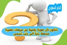 تتكون كل صورة رقمية من مربعات صغيرة مجمعة جنبا الى جنب تسمى