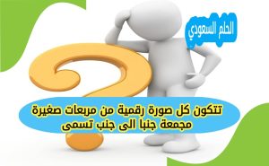 تتكون كل صورة رقمية من مربعات صغيرة مجمعة جنبا الى جنب تسمى