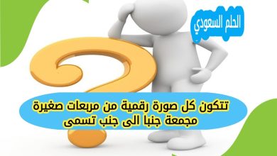 تتكون كل صورة رقمية من مربعات صغيرة مجمعة جنبا الى جنب تسمى