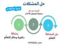 تعد مرحلة تحديد المشكلة هي المرحلة الاخيرة من مراحل حل المشكلات