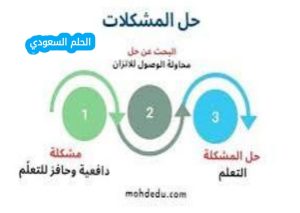 تعد مرحلة تحديد المشكلة هي المرحلة الاخيرة من مراحل حل المشكلات