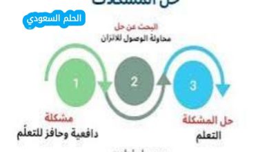 تعد مرحلة تحديد المشكلة هي المرحلة الاخيرة من مراحل حل المشكلات