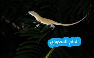 تمر الزواحف بعمليه الانسلاخ لتتمكن من a تغيير لونها b الهرب من المفترسات c النمو d وضع البيوض