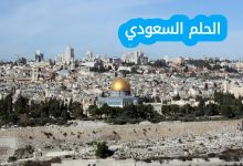 تنتمي أسرة آل سعود إلى بني حنيفة من قبائل بكر بن وائل