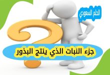الزهرة جزء النبات المنتج للبذور