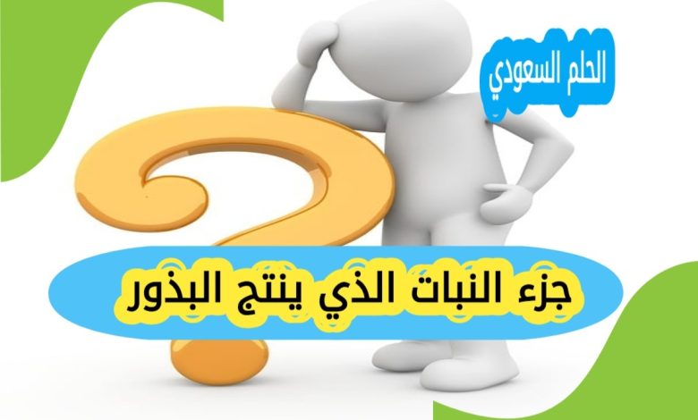 الزهرة جزء النبات المنتج للبذور