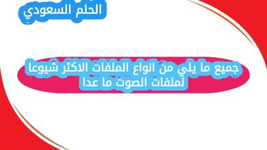 جميع ما يلي من انواع الملفات الاكثر شيوعا لملفات الصوت ما عدا