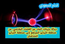 حركة جزيئات الماء عبر الغشاء البلازمي، من منطقة التركيز المرتفع إلى منطقة التركيز المنخفض