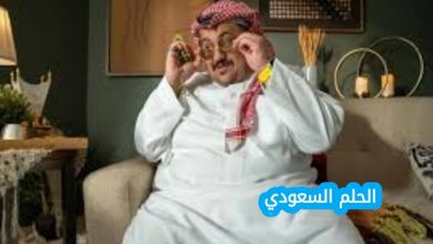 من هو حسن الرفاعي ويكيبيديا