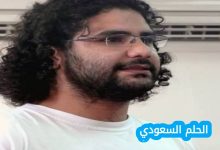 اسباب احتجاز علاء عبد الفتاح