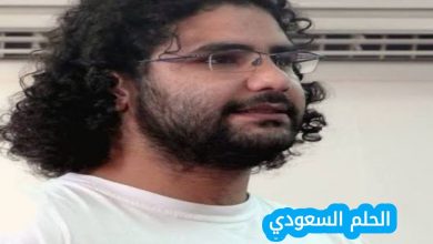 اسباب احتجاز علاء عبد الفتاح