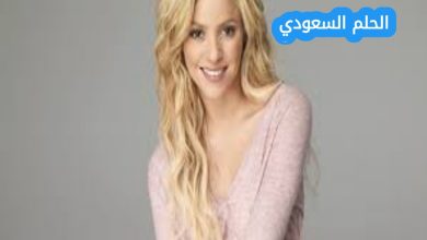 من هي شاكيرا ويكيبيديا