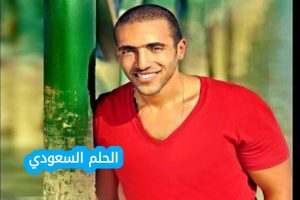 عمرو ستين ويكيبيديا | السيرة الذاتية وأهم المعلومات
