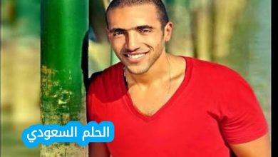 عمرو ستين ويكيبيديا | السيرة الذاتية وأهم المعلومات