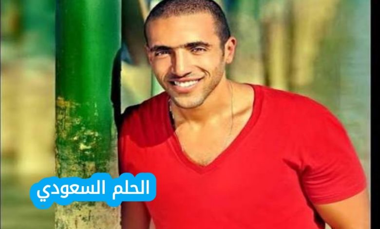 عمرو ستين ويكيبيديا | السيرة الذاتية وأهم المعلومات