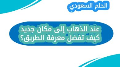 عند الذهاب إلى مكان جديد كيف تفضل معرفة الطريق؟ عند الذهاب إلى مكان جديد كيف تفضل معرفة الطريق؟