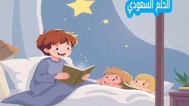أفضل قصة قبل النوم للأطفال قصيرة وممتعة لتعليم القيم