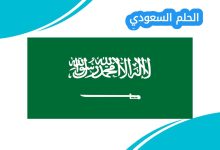 كم دام حكم الملك سعود بن عبدالعزيز