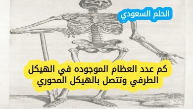 كم عدد العظام الموجوده في الهيكل الطرفي وتتصل بالهيكل المحوري