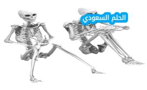 كم عدد عظام الحوض المتمفصله
