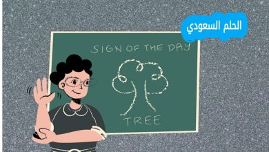 كيف تصنع المدرسة العقول
