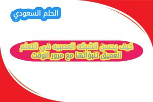 كيف يحسن الشبكه العصبيه في التعلم العميق تنبؤاتها مع مرور الوقت