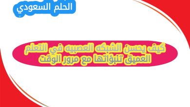 كيف يحسن الشبكه العصبيه في التعلم العميق تنبؤاتها مع مرور الوقت