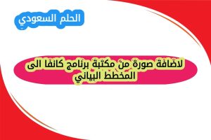 لاضافة صورة من مكتبة برنامج كانفا الى المخطط البياني